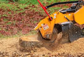 Grass Overseeding in Isle Of Hope, GA